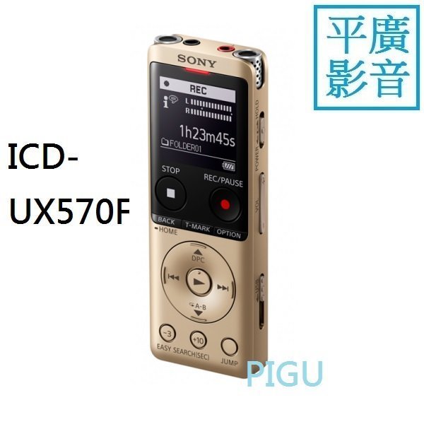 平廣SONY ICD-UX570F 金色錄音筆送袋台公司貨保1年錄音器4GB 可FM 插卡