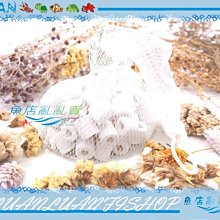 【~魚店亂亂賣~】LUANFISHOP迷你石英陶瓷環0.2L散裝1*1cm(附網袋)培養硝化菌利器