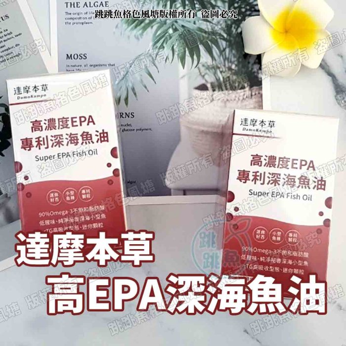 🔥現貨🔥臺灣公司貨 達摩本草 高濃度EPA 90%專利深海魚油 120顆/盒 | 效期2024/10/20