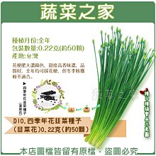 【蔬菜之家滿額免運】D10.四季年花韭菜種子(韭菜花)0.22克(約50顆)(花梗肥大濃綠色，甜度高香味濃)