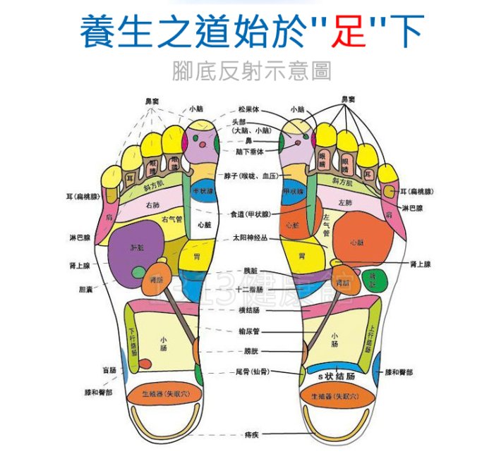 腳底指壓板【加厚款】韓國Running man奔跑吧兄弟趾壓板/腳底按摩墊/天堂路/止滑墊/健康步道【1313健康館】