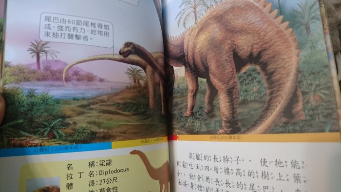 【童書】圖解動物小百科 圖解恐龍小百科 兩本合售 幼福