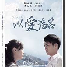 [DVD] - 以愛為名 Falling in love ( 台灣正版 )