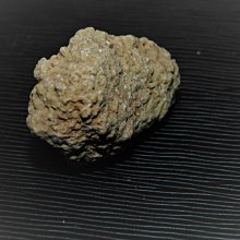 【雅之賞|佛教|藏傳文物】特賣*龍宮舍利 腦舍利~990348