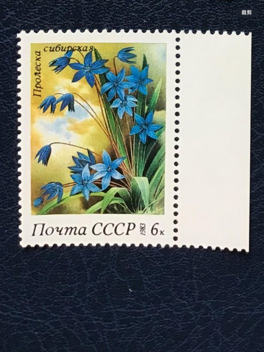 前蘇聯花卉郵票4枚全。5729