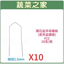 【蔬菜之家滿額免運】蘭花盆吊耳鐵線(黑吊盆鐵線)( #12 )10支/組※請選擇宅配運送※