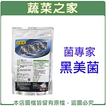 【蔬菜之家滿額免運003-A100】菌專家-黑美菌(黑殭菌)500g±5%※此商品運費請選擇宅配貨運※