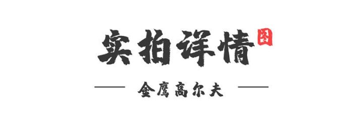 高爾夫球桿 二手高爾夫球桿 單支 XR鐵木桿 小雞腿混合桿碳素進口正品