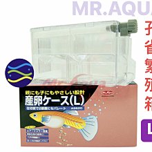 微笑的魚水族☆MR.水族先生【日本孔雀繁殖箱繁殖盒L】多功能產卵盒Q-17-2