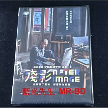 [藍光先生DVD] 殘影 Afterimage ( 台灣正版 )