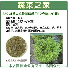 【蔬菜之家滿額免運】A89.綠香火焰綠萵苣種子0.2克(約190顆)(葉色綠，葉片脆，葉綠切刻深，直立性好，葉片數多)