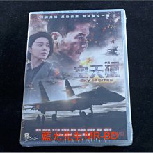 [DVD] - 空天獵 Sky Hunter