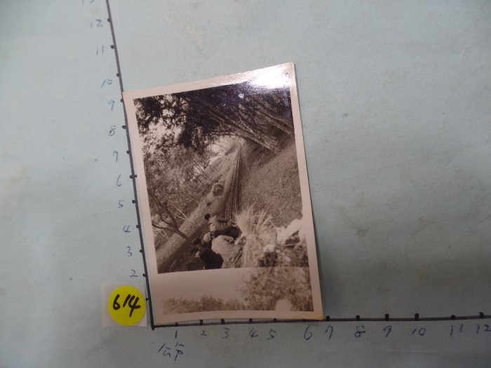 嘉義,阿里山,老火車,民國4-50年代古董黑白,照片,相片4