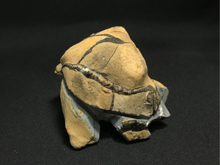 (石雕-台灣. 蘇 瑞鹿) 黃龜甲石 太極龜. 石龜. (有落款) (埔里黃龜甲石) 1