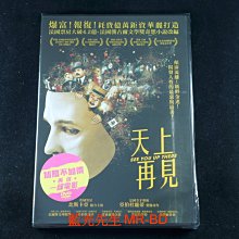 [DVD] - 天上再見 See You Up There ( 得利公司貨 )