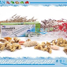 【魚店亂亂賣】水草工具置放架15cm魚網/水草剪/水草夾/整平器/清潔刷收納掛架水世界UP雅柏