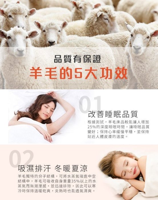 限時特賣~台灣製~奈米抑菌銀離子發熱1.6KG 羊毛被B0711