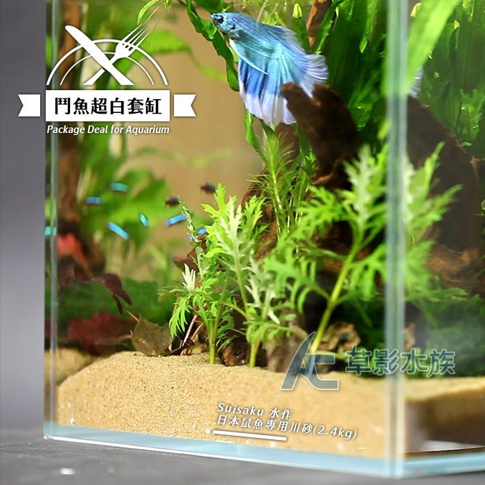 【AC草影】20x20x20cm 鬥魚超白套缸【套餐】【一罐】