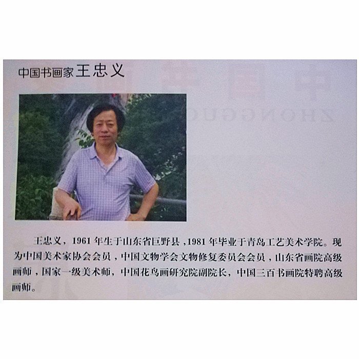 金小鋪 手繪名人字畫王忠義四尺橫幅精品寫意國畫花鳥贈畫冊裝飾收藏饋贈 nm2298