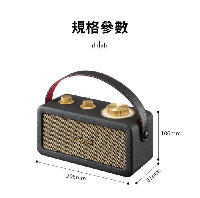 (現貨) 台灣公司貨 山進 SANGEAN RA-101 FM調頻 木質皮革 藍牙攜帶喇叭 RA101 視聽影訊