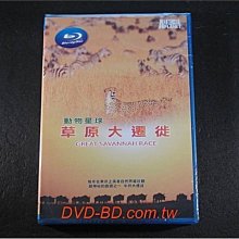 [藍光BD] - 動物星球 : 草原大遷徙 Great Savannah Race ( 新動正版 ) - 牛羚大遷徙