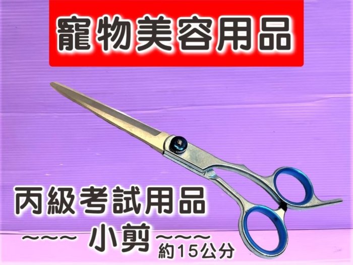 ☘️小福袋☘️寵物美容剪刀 小剪刀 基礎 學習 修毛刀 犬 貓 狗 毛小孩 理髮 小修剪 寵物美容考試用品 源杏