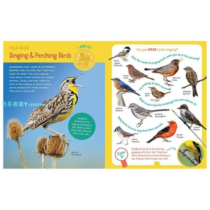 【現貨】Backpack Explorer 背包探險家 Bird Watch觀鳥 兒童活動3-6歲書籍