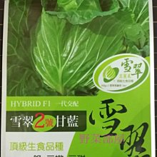 【野菜部屋~原包裝種子】雪翠高麗菜種子100顆 , 每包200元 ,脆 ,嫩 甜 ,頂級生食品種 ,長勢旺~