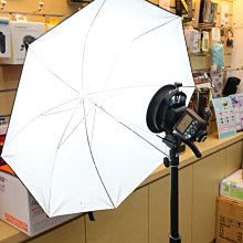 【日產旗艦】開年公司貨 神牛 Godox TT685II 閃光燈 二代 +燈架+S2支架+85cm白色反射傘(附柔光布)