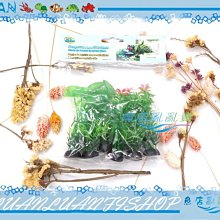 【魚店亂亂賣】ISTA仿真南美草皮.珍珠草.銅錢草4吋(假水草)免CO2一樣翠綠(6入)E2-TZ-402造景飾品