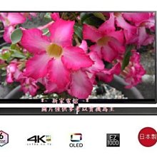 *~新家電錧~*【Panasonic國際】[TH-65EZ1000W] 65吋 OLED 日本  液晶電視 實體店面