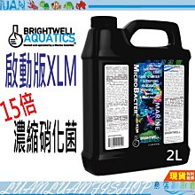 【魚店亂亂賣】美國BWA  15倍濃縮硝化菌 2L 啟動版XLM  活缸啟動劑BRIGHTWELL AQUATICS