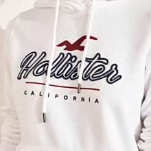 Hollister HCO 海鷗 帽T 連帽上衣 白色