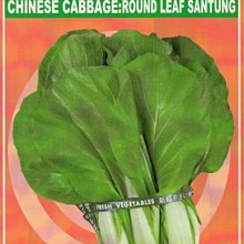 【野菜部屋~】F14 日本丸葉小白菜種子13.8公克 , 全株平滑無毛 ,每包15元~