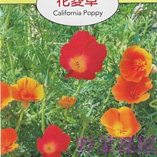 【野菜部屋~】Y30 花菱草California Poppy~天星牌原包裝種子~每包17元~