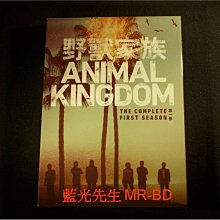 [DVD] - 野獸家族 : 第一季 Animal Kingdom ( 得利公司貨 )