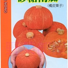 【野菜部屋~】K49 砂糖南瓜種子20顆 ,栗子南瓜 ,甜度高 , 每包180元  ~