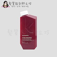 立坽『洗髮精』派力國際公司貨 KEVIN.MURPHY YOUNG.AGAIN.WASH返老還童髮浴250ml HH13