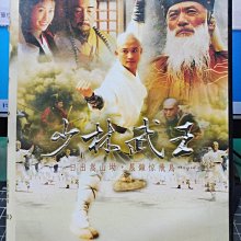 影音大批發-S127-正版DVD-大陸劇【少林武王 全22集2碟】-吳京 黃奕(直購價)