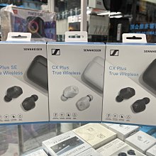 禾豐音響 Sennheiser CX Plus True Wireless 降噪藍牙耳機 宙宣公司貨