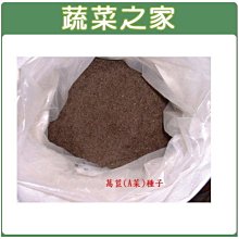 【蔬菜之家滿額免運000-04】食用萵苣(A菜)種子80克(台大.中興配方媽媽茶萵苣子)※勿選擇郵寄掛號