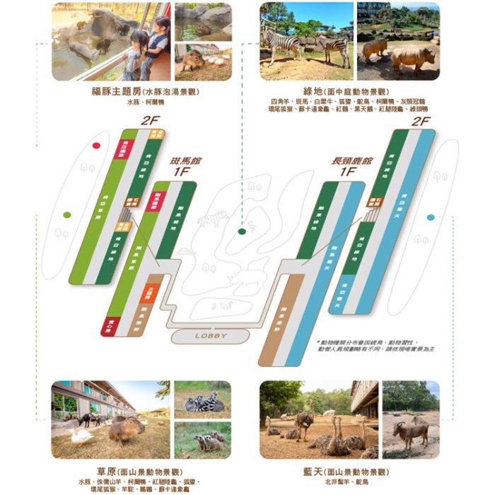 【草原歷險體驗】(瑪利歐近距離與動物互動)新竹關西六福莊『各房型』2~4人房住宿含早餐+晚餐+六福村2日門票+草原歷險』