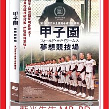 [藍光先生DVD] 甲子園：夢想競技場 Koshien：Japan's Field (佳映正版)