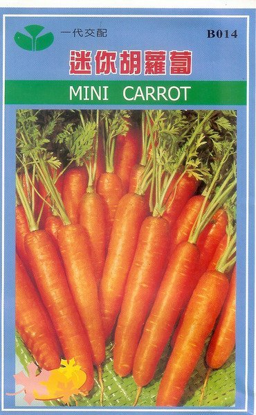 【蔬菜種子S189】迷你胡蘿蔔~~吃土較淺，家庭種植最適合。
