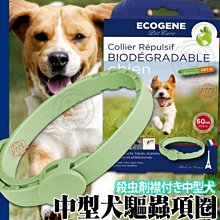 【🐱🐶培菓寵物48H出貨🐰🐹】ECOGENE E可淨》天然驅蟲系列中型犬用驅蟲項圈-60cm 特價350元