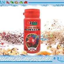 【~魚店亂亂賣~】台灣AZOO愛族9合1金魚漢堡120ml(獅頭、琉金、壽星、蘭壽、土佐金)