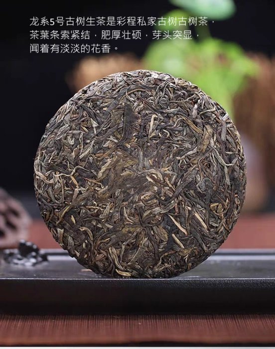 普洱茶生茶 [彩程] 2019年 龍5号 200克生餅 私家古樹高端純料茶