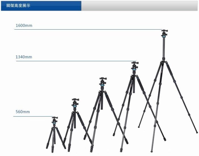 百諾 BENRO IF18+ iFoto 套裝系列 相機 三腳架 腳架