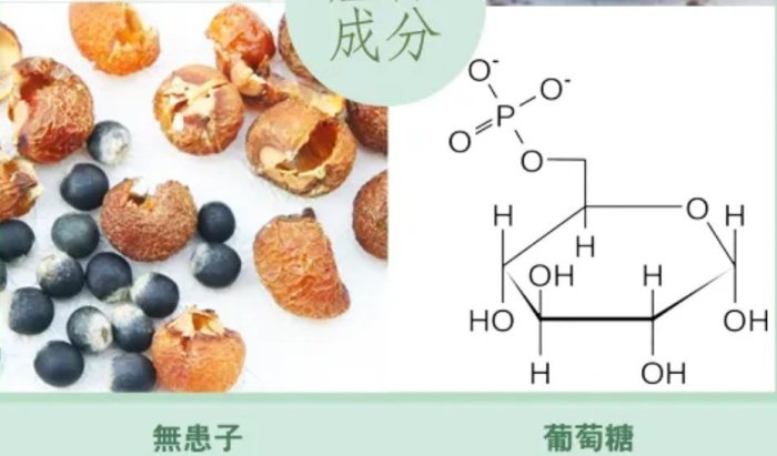 【艾草之家】艾草天然洗潔精1000ml /瓶   買6送1(限宅配)@濃縮製成，可稀釋3-5倍使用