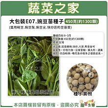 【蔬菜之家滿額免運】大包裝E07.豌豆苗種子450克(約1300顆) 大豆苗.葉用碗豆.豌豆鬚.豌豆尖 熱炒豆苗種子 ※不適用郵寄